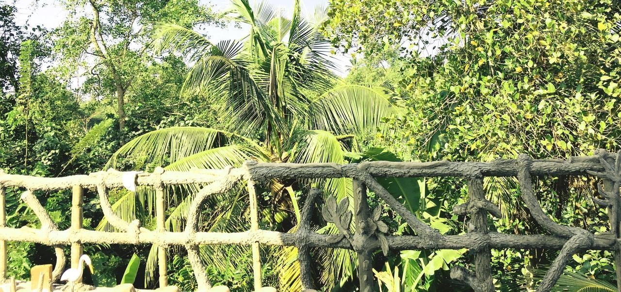 Galle Paradise Inn Екстер'єр фото