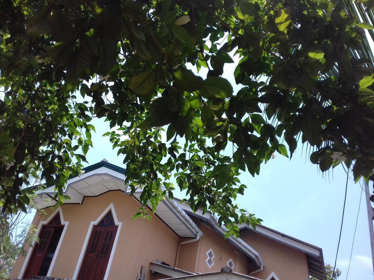 Galle Paradise Inn Екстер'єр фото